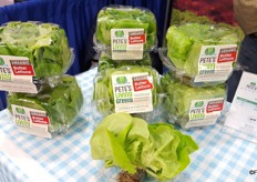 Pete's Living Greens Organic Butter Lettuce.